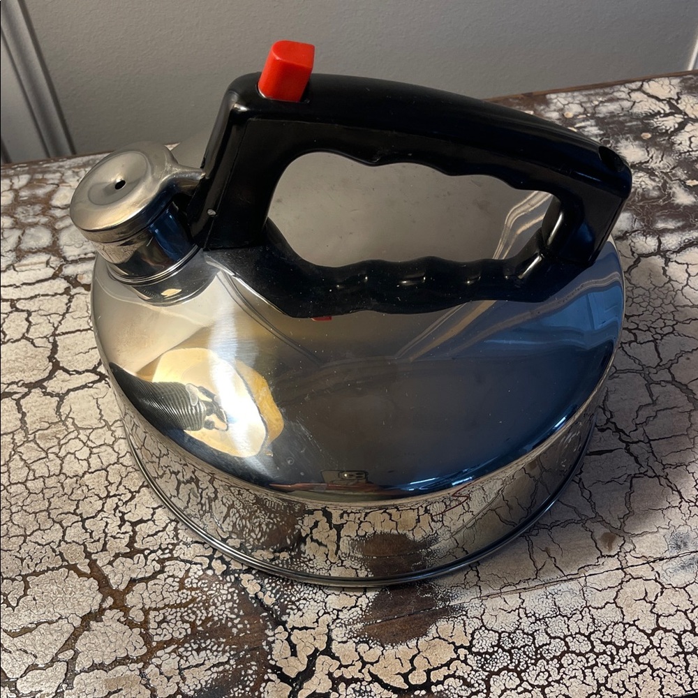 Sleek Stainless Steel Tea Kettle with Black Handle